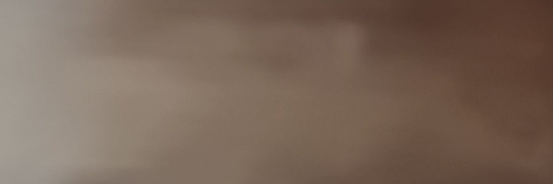 Foxy2894674's profile banner image