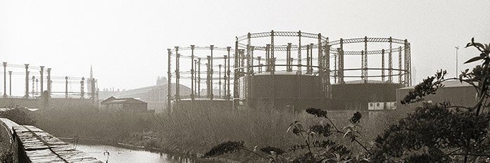 Polly Robbins banner