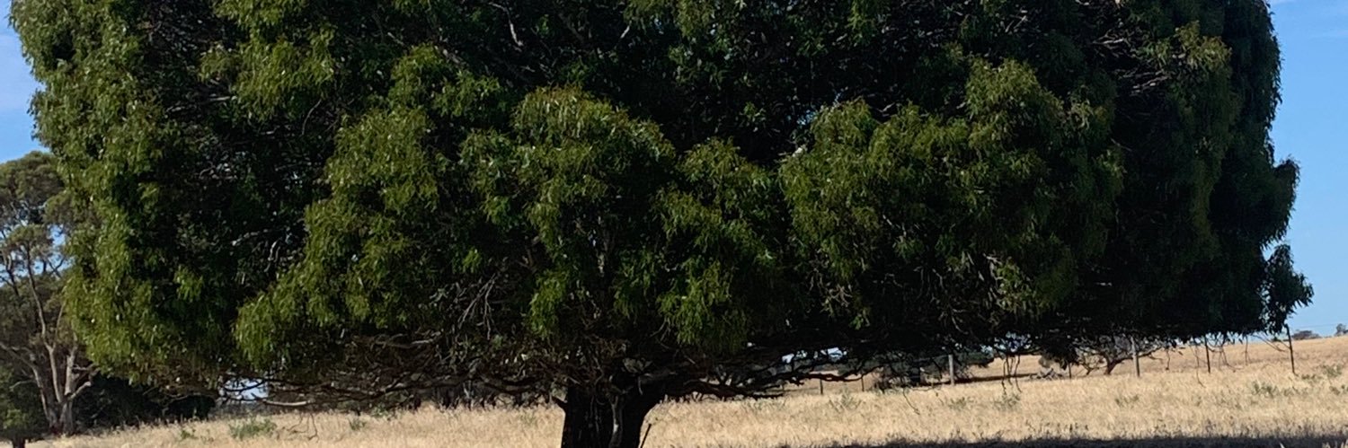 stuartc21776845's profile banner image