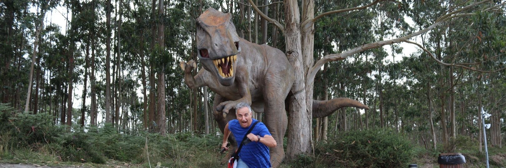 Sebastián Fernández banner