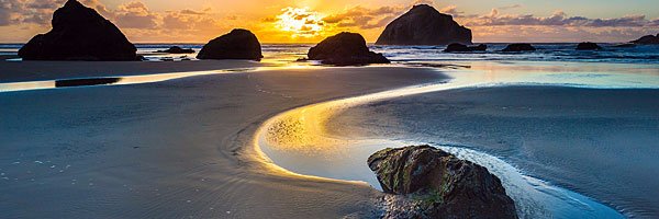 Ann120 Profile Banner