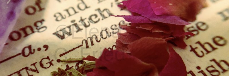 TheLadyCatEye's profile banner image