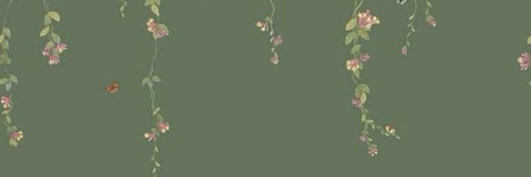Alina_Veee Profile Banner