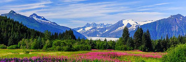 COJ_Anchorage Profile Banner