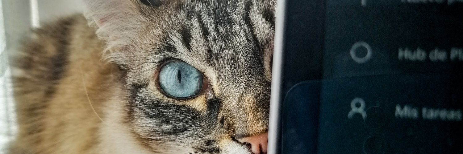 Mbanolas's profile banner image