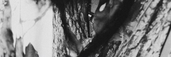 SheyeBanks Profile Banner