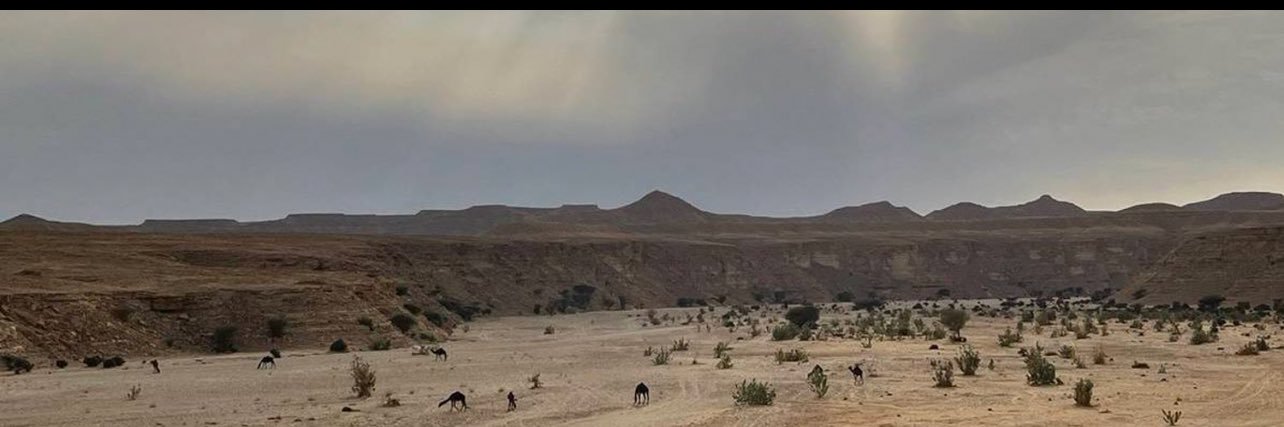 أنس الـتـمـيـمـي banner