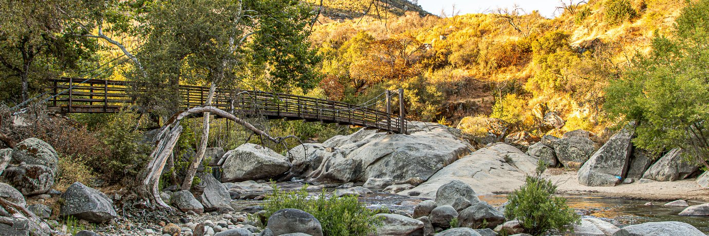 Visit Visalia banner