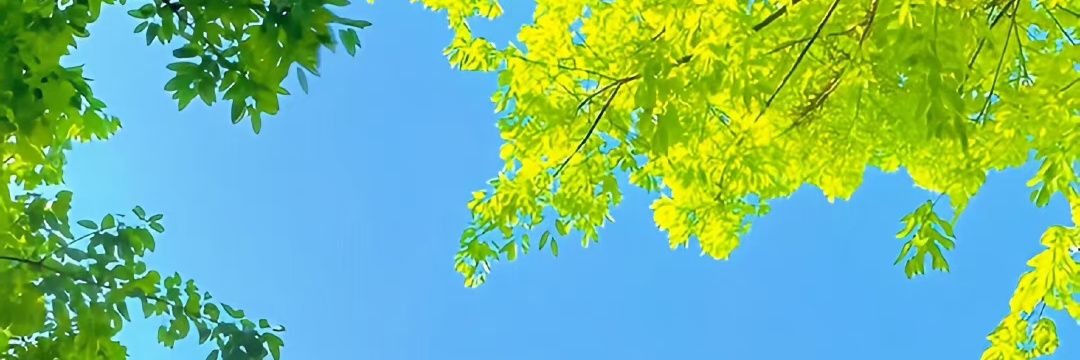 LuYou2010's profile banner image