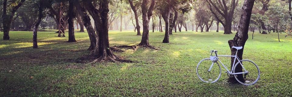 เป็นคนเป้วๆ ปวดเย่วก็เข้าห้องน้ำ banner