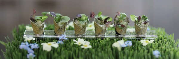 WhiteRadishFood Profile Banner