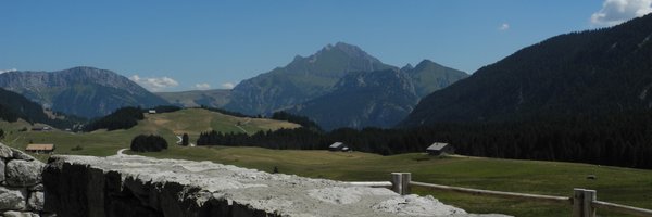 bavignon Profile Banner