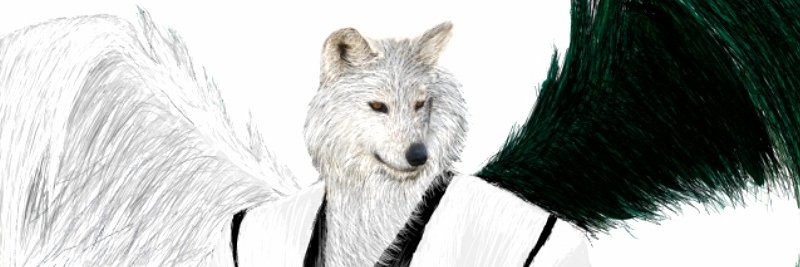 miragewolf19's profile banner image