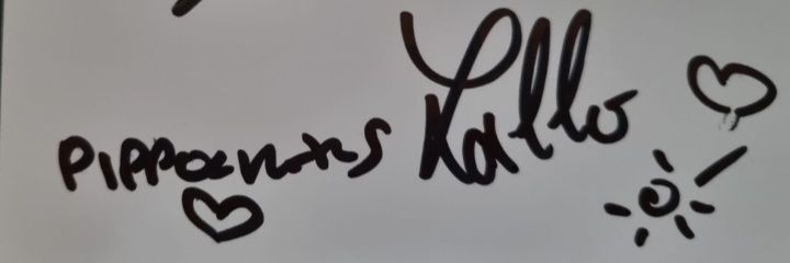lepippoliners's profile banner image