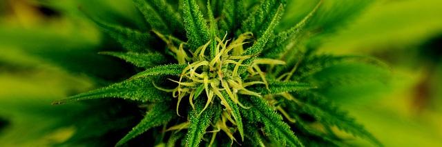 tempemmj's profile banner image