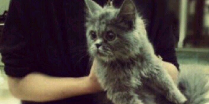 عفوفآآ ✰ ‎ banner