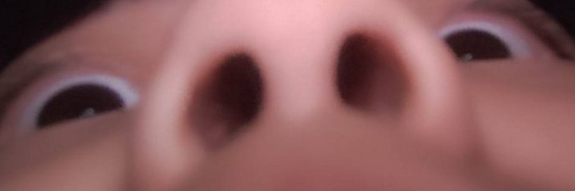 ゐちご❦． banner