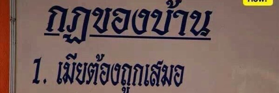 segi banner
