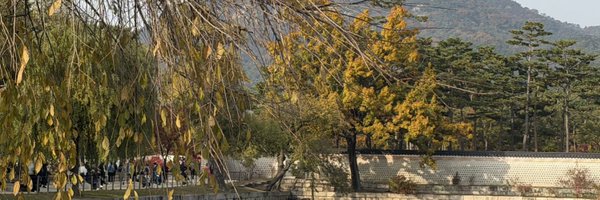 Ytingchen Profile Banner