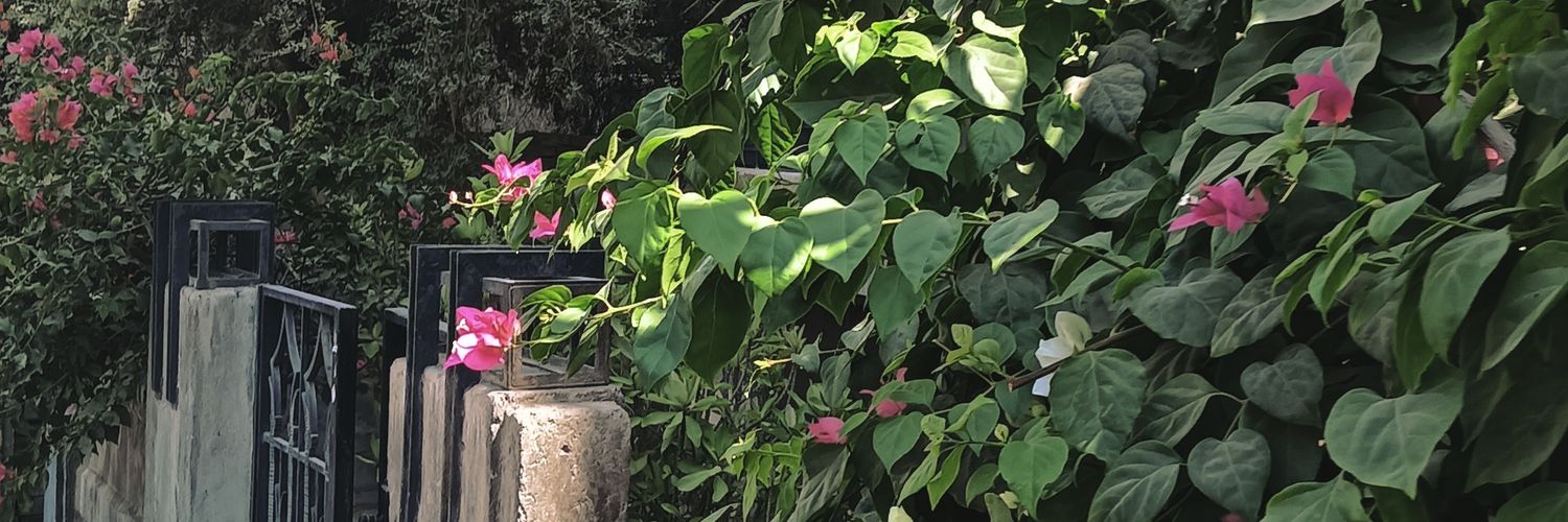 R ⋆࿐'s banner