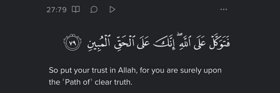 🇸🇩🇵🇸 banner