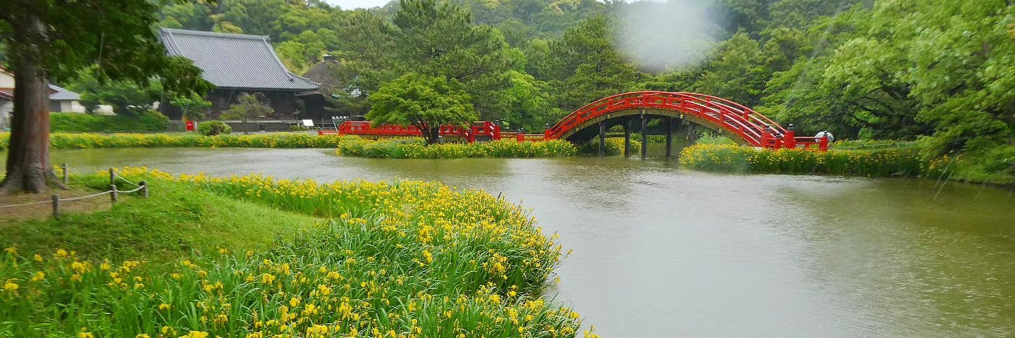 kubasosuke's profile banner image