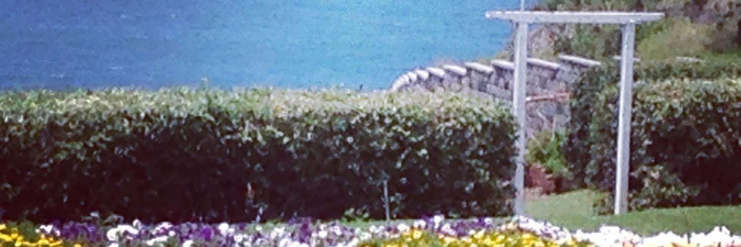 Heather Moore banner