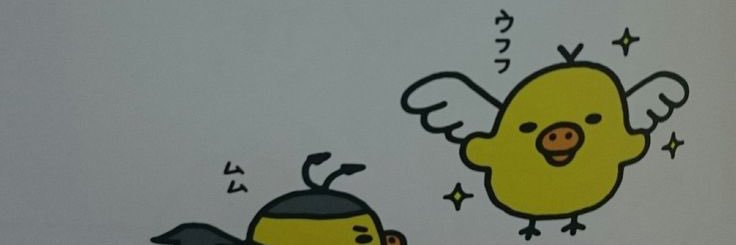 24pppy's profile banner image