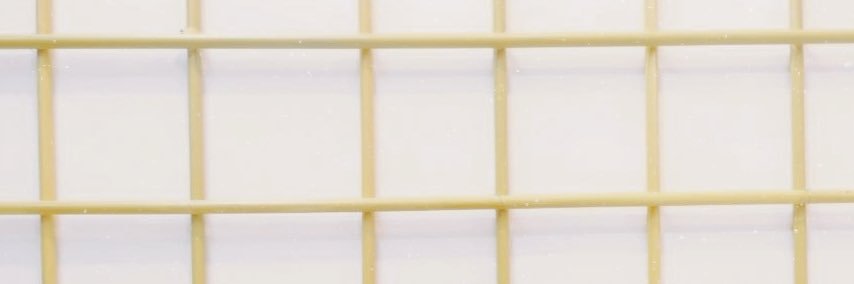 blueballerin4's profile banner image