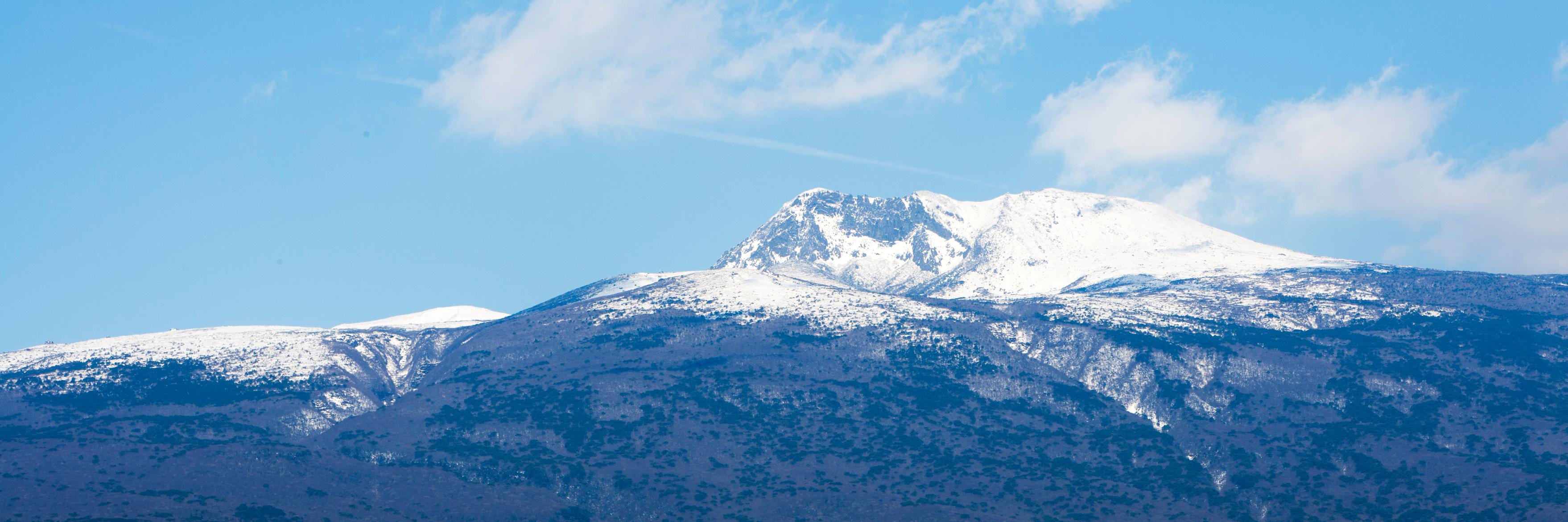 내가 친노다 ! 🌙✨🎗🕯️ banner