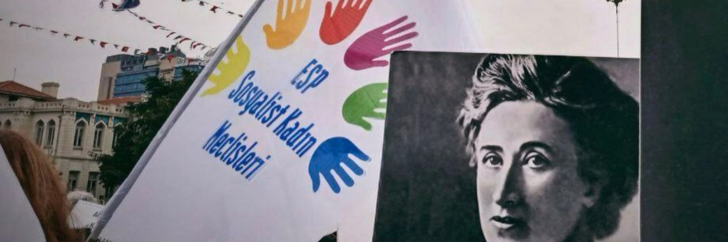 Sosyalist Kadın Meclisleri's banner