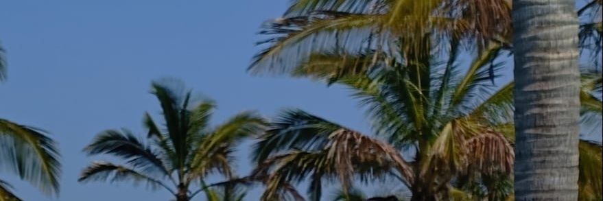 mgkhosana's profile banner image