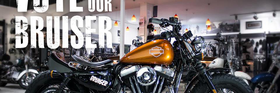 DublinHarleyDavidson banner