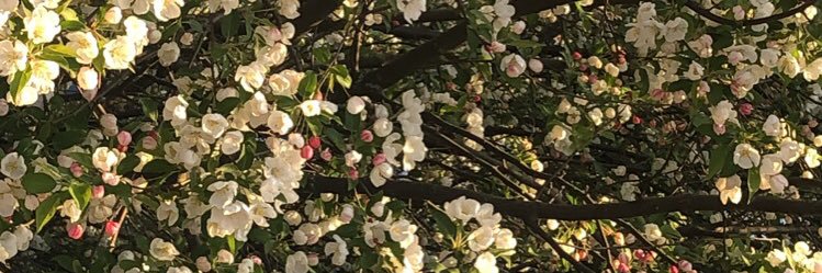 oneidy_c's profile banner image