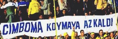 Sinan banner