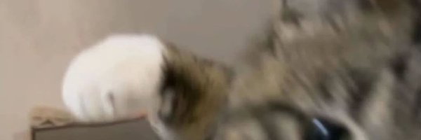 paper_song Profile Banner