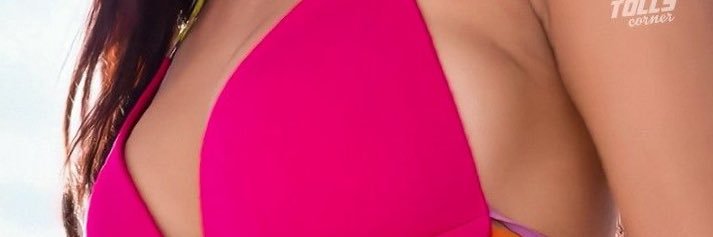 Devotiontowardsgoddess banner