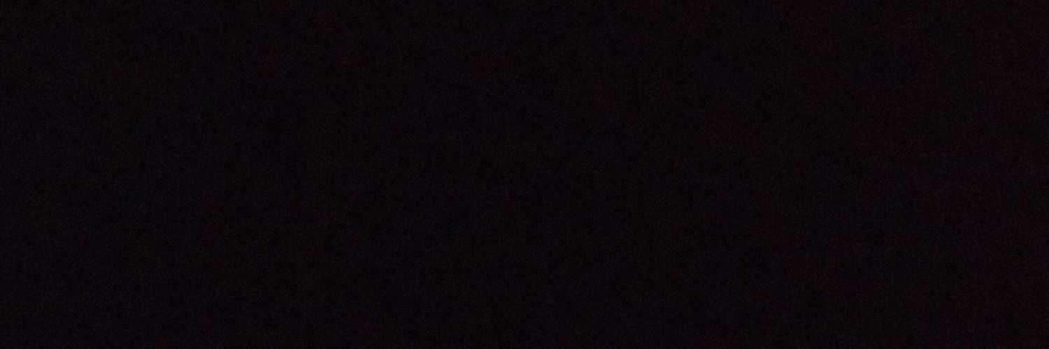 ねこ banner