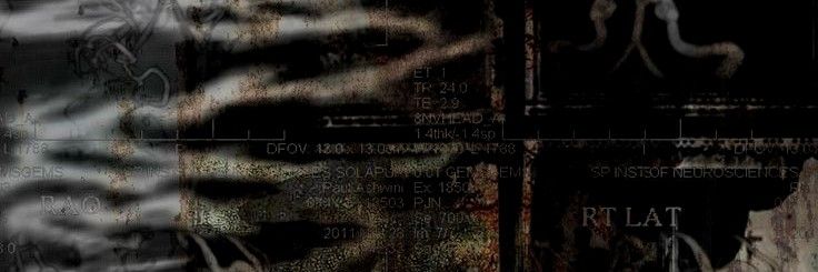 Fox ⚣︎ Burger Kink banner