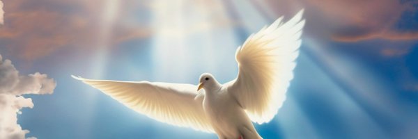 0_paluma Profile Banner