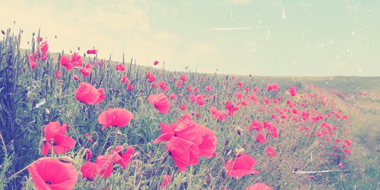 bellaest_'s profile banner image