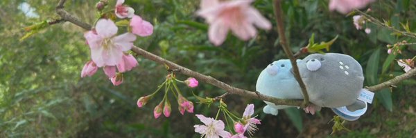 MTk066621 Profile Banner