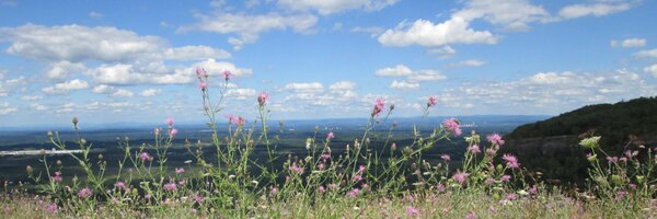 recordbk Profile Banner