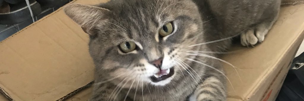 sinemkoknar's profile banner image