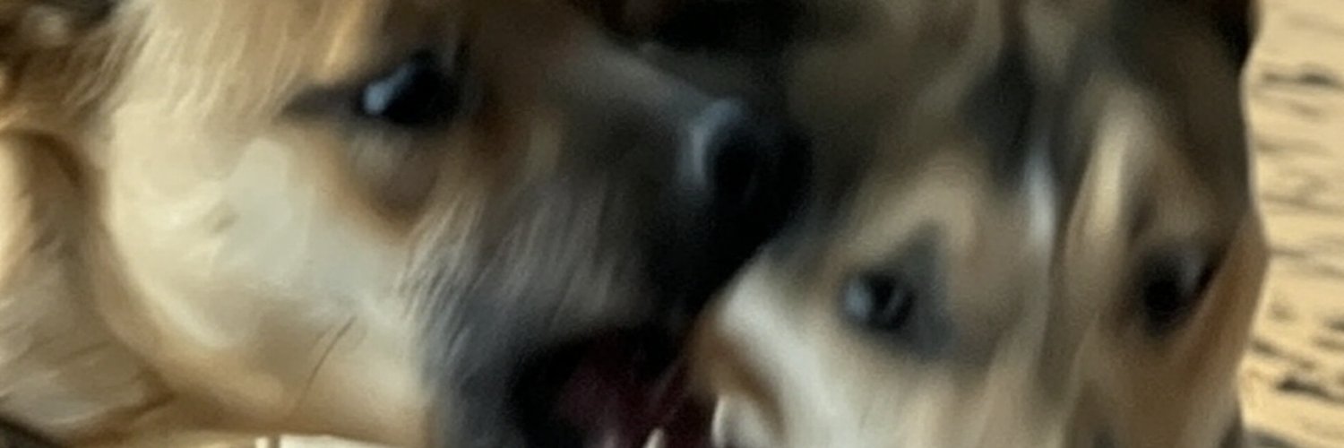 Zoom banner