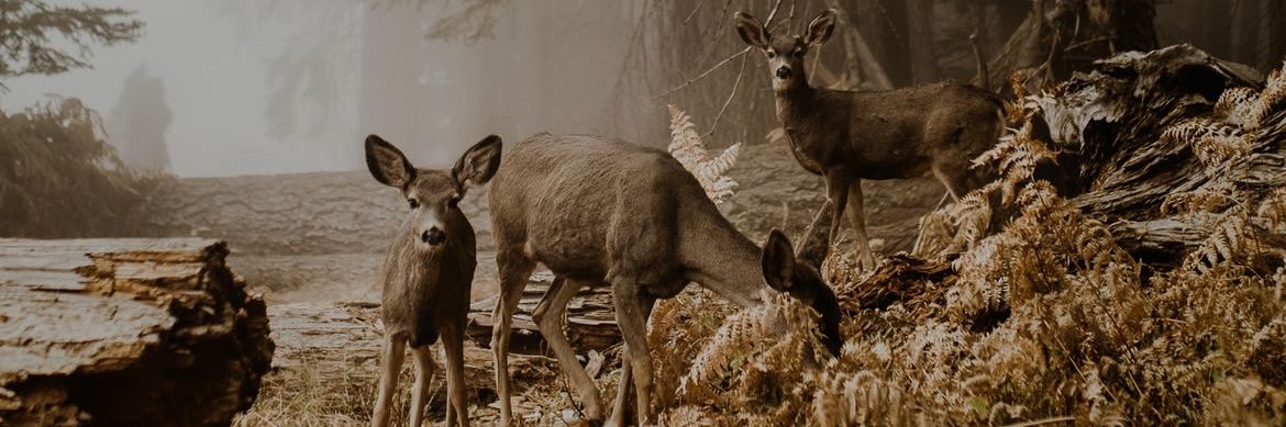 Swilliamgray's profile banner image