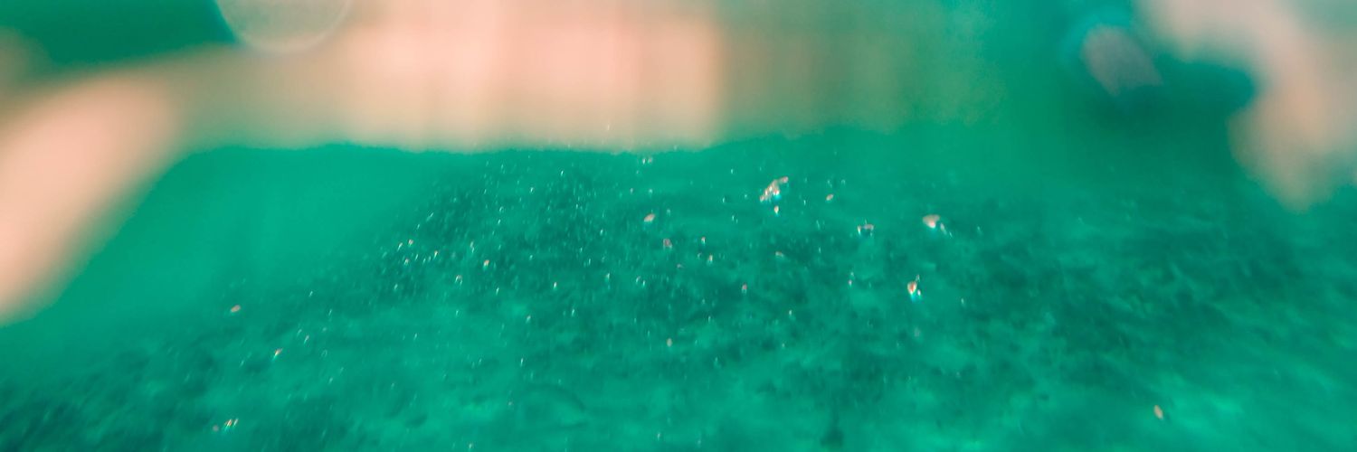 zmpkison's profile banner image
