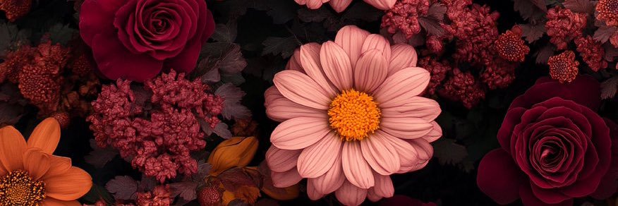 I👩🏽‍⚕️| Isa 🤍 banner