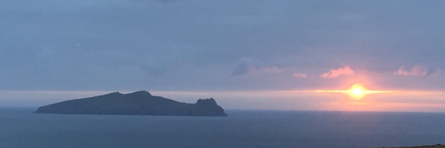 Diarmuid O'Donovan banner