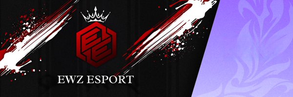 EWZeSPORT Profile Banner